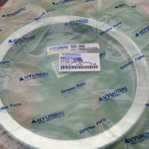 Hyundai Seal Ring ZGAQ-02486