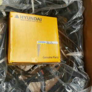 Hyundai Transmission Control Unit ZGAQ-01700