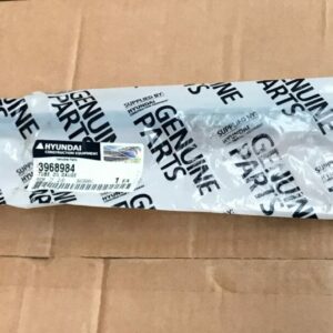 Hyundai Tube Oil Gauge 3968984