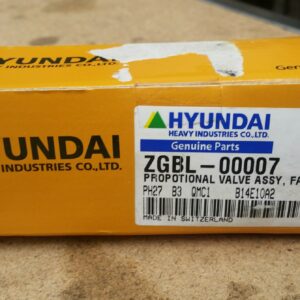 Hyundai Proportional Valve ZGBL-00007